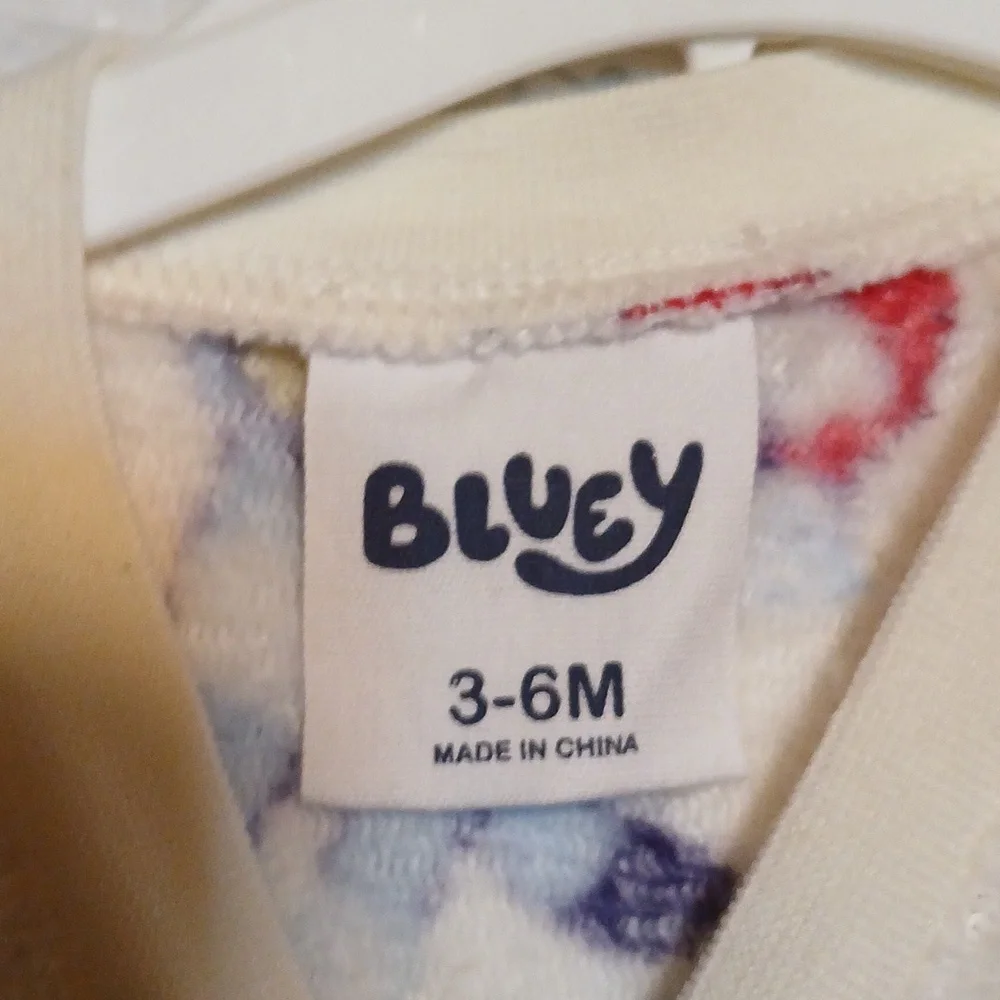 Bluey matching set